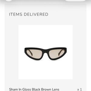 Gloss Black Sunglasses with Brown Lens